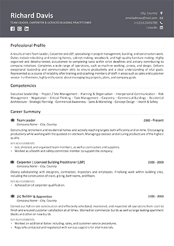 Professional CV writing service example - Standard Example 1
